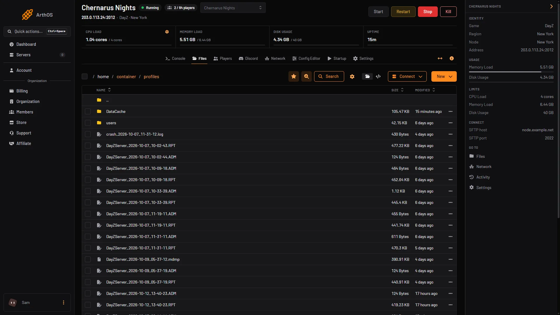 The profiles folder in Files with an RPT, ADM and script log for each start