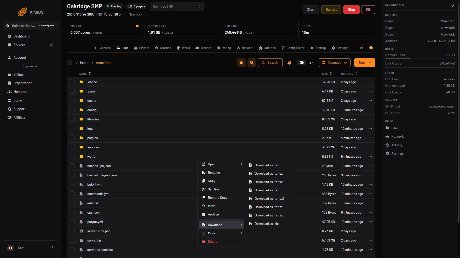 The Files page with the menu open on the world folder and the Download submenu showing Download as .zip