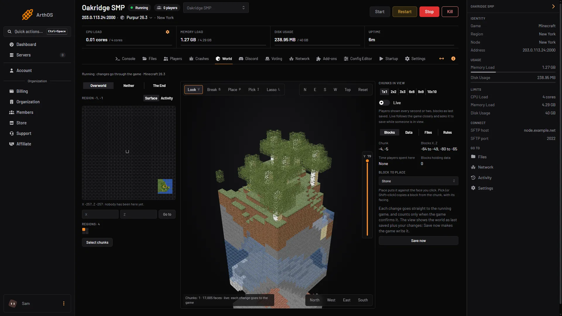 The World tab with the dimension buttons, the region map and a chunk open in 3D with its tools