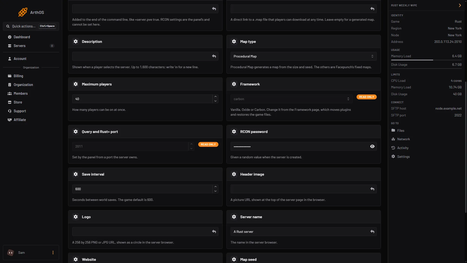 The Startup tab with the Query and Rust+ port and the RCON password cards