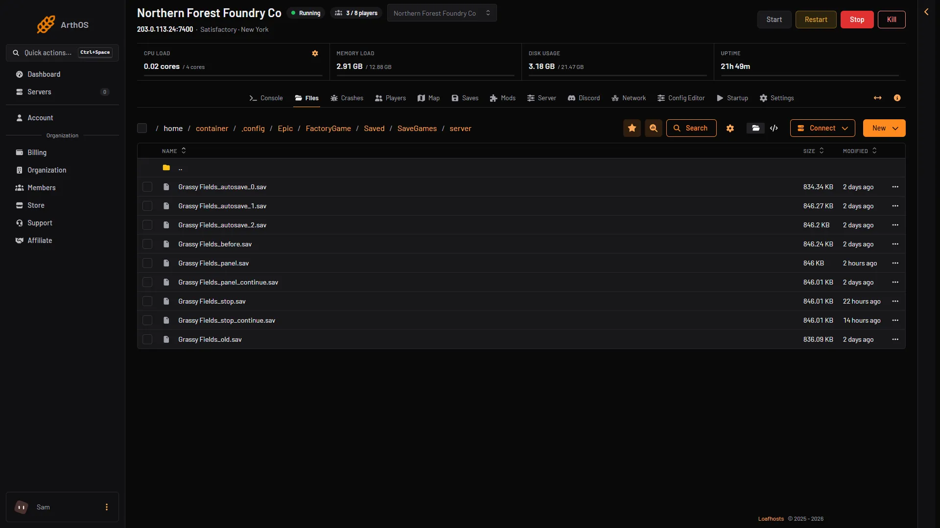 The Files page open in the save folder, listing the session's .sav files with sizes and times
