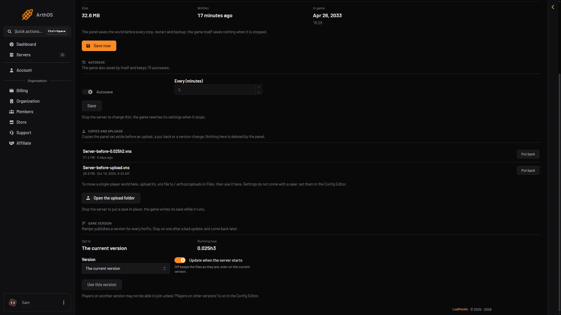 The Game version card on the World page with Running now 0.025h3 and the Update when the server starts switch on