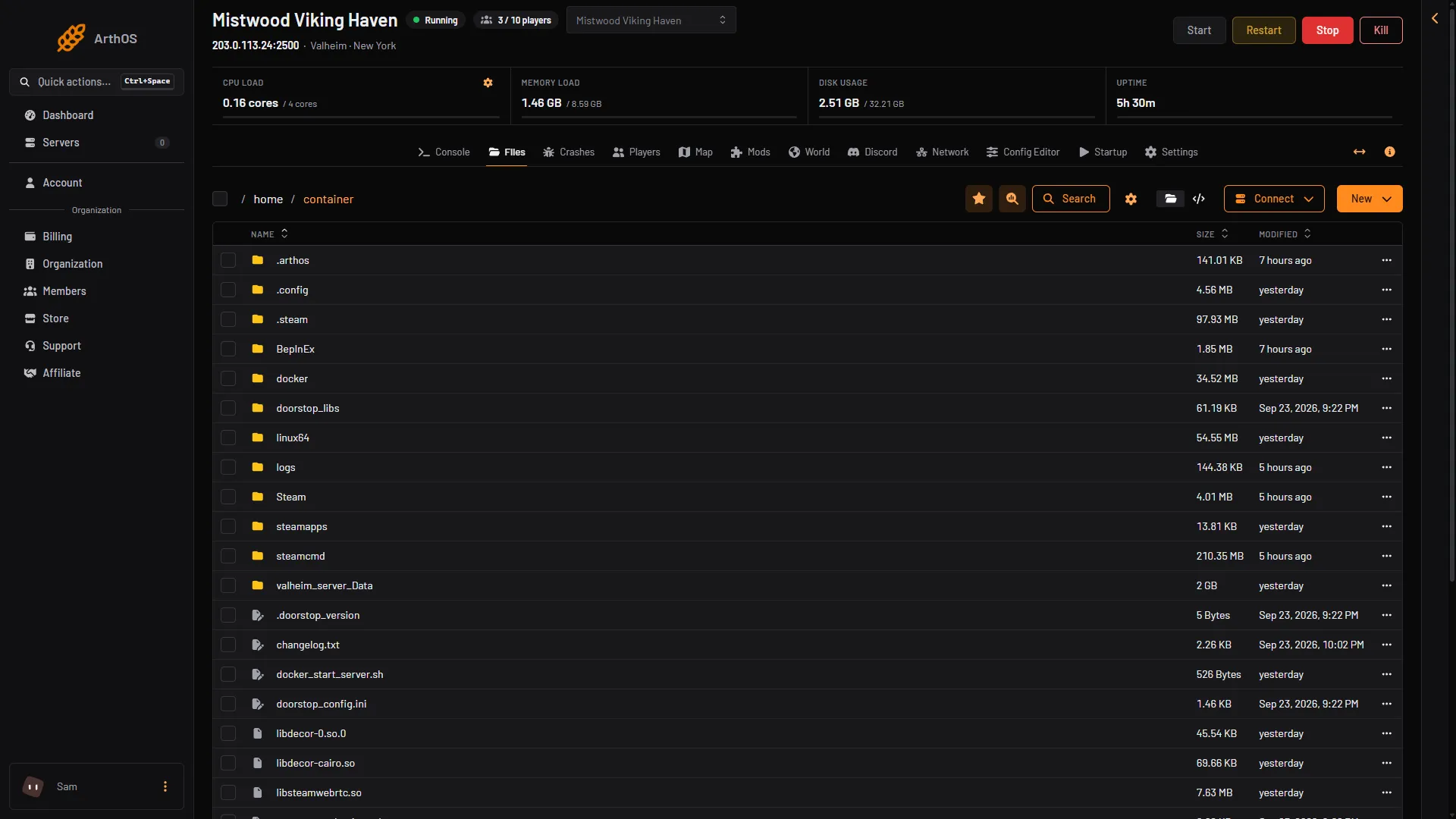 The Files page at the top folder of a Valheim server
