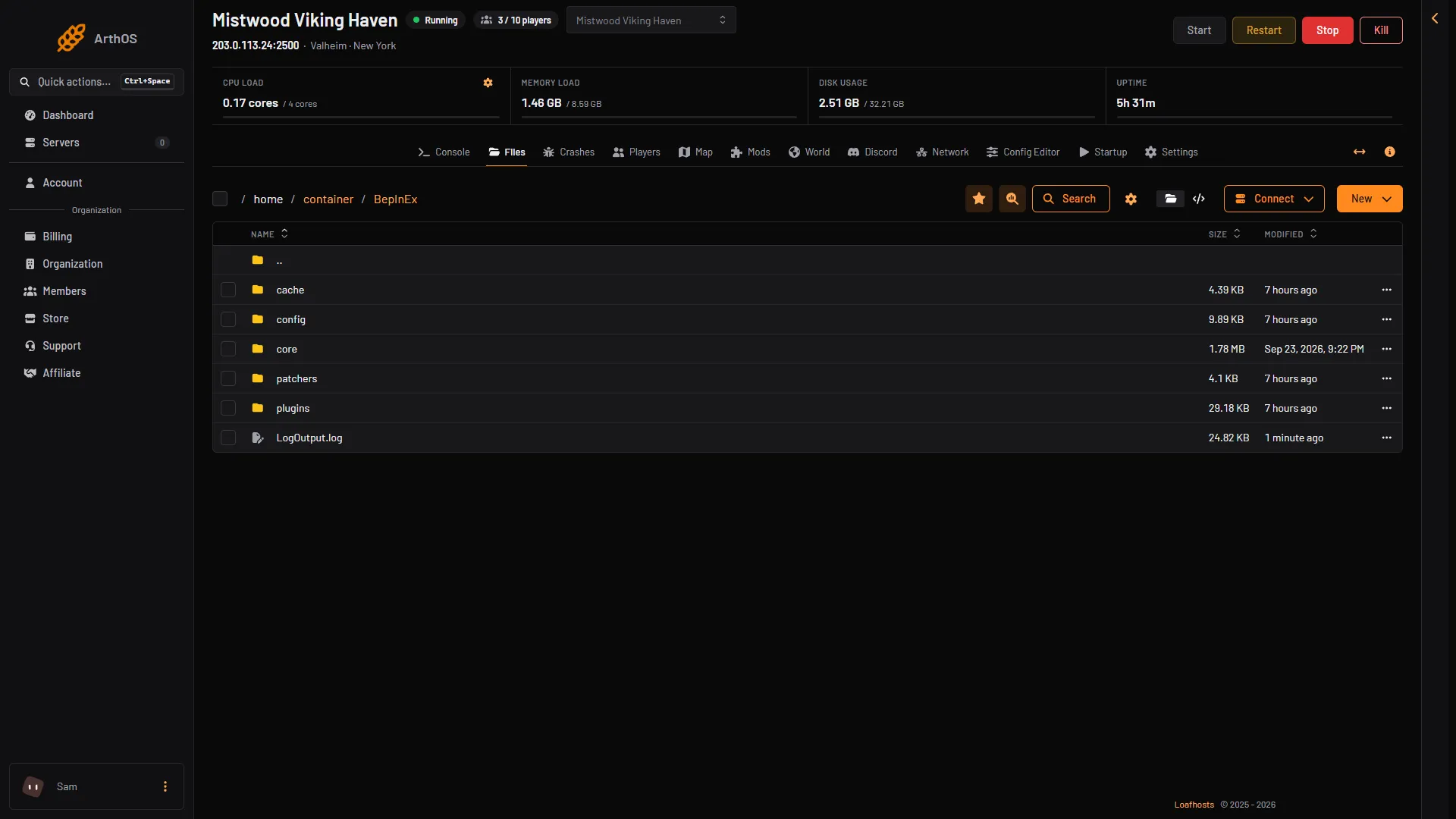 The BepInEx folder with LogOutput.log and the config and plugins folders