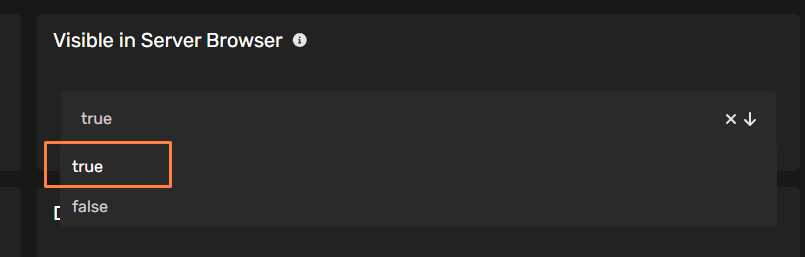 Server visibility setting showing 'true' selected for Visible in Server Browser